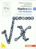 Algebra.blu. Statistica. Con espansione online. Per le Scuole superiori. Con DVD-ROM vol.1 Algebra.blu. Statistica. Con espansione online. Per le Scuole superiori. Con DVD-ROM vol.1