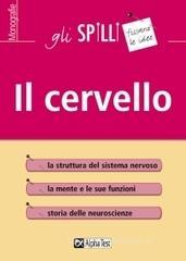 Il cervello Il cervello