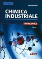 Chimica industriale. Per gli Ist. tecnici e professionali. Con espansione online vol.1 di Eugenio Stocchi edito da EDISCO
