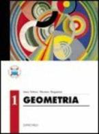 Geometria vol.1 di A. Trifone, M. Bergamini edito da Zanichelli