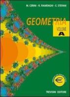 Geometria. Per la Scuola media vol.1 di Maria Angela Cerini, Raul Fiamenghi, Elena Stefani edito da Trevisini