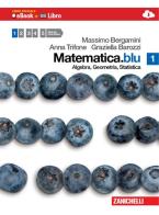 Matematica.blu. Algebra. Geometria. Statistica. Con espansione online. Per le Scuole superiori vol.1