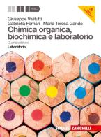 Chimica organica biochimica e laboratorio. Con espansione online. Per gli Ist. Tecnici e professionali