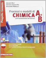 Processi e modelli di chimica. Vol. A-B. Per le Scuole superiori. Con espansione online di G. Ricci edito da De Agostini Scuola