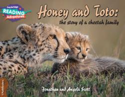 Honey and Toto: the story of a cheetah family. Pathfinders. Cambridge reading adventures edito da Cambridge