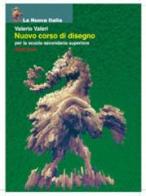 Nuovo corso di disegno. Volume unico. Per il biennio di Valerio Valeri edito da La Nuova Italia