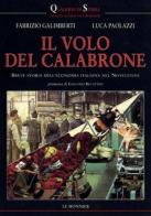 Il volo del calabrone. Breve storia dell'economia italiana nel Novecento