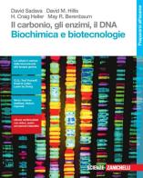 Il carbonio, gli enzimi, il DNA. Biochimica e biotecnologie. Per le Scuole superiori. Con Contenuto digitale (fornito elettronicamente) di David Sadava, David M. Hillis, H. Craig Heller edito da Zanichelli