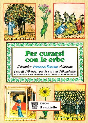 Curarsi con le erbe di Francesco Borsetta edito da Il Capitello