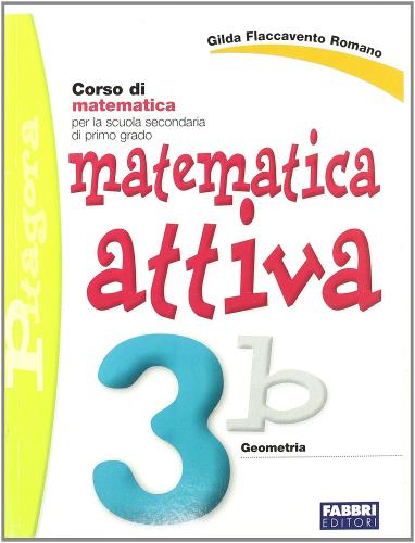 Matematica attiva. Vol. 3B. Per la Scuola media di Gilda Flaccavento Romano edito da Fabbri