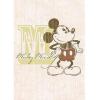 Green Booklets triple pack Mickey Retro