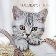 Calendario 2021 Kittens 30x30