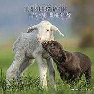 Calendario 2021 Animal Friendship 30x30