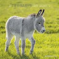 Calendario 2021 Baby Animals 30x30