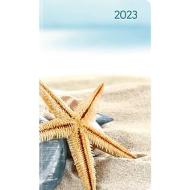 Agenda 12 mesi settimanale 2023 Ladytimer Slim Sea Star