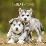Calendario 2020 Puppies 30x30 cm