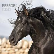 Calendario 2019 Horses 30x30 cm