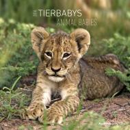 Calendario 2016 Animal Babies  