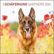 Calendario 2023 Shepherd Dog 30x30
