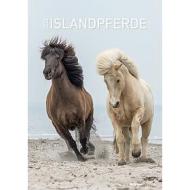 Calendario 2022 Iceland horses 29,7x42