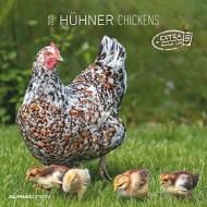 Calendario 2025 Chickens cm 30x30