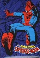 Diario Spider-Man 2015-2016 Blu