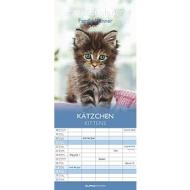 Calendario 2024 Family Planner Kittens cm 19,5x45