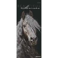 Calendario 2024 Beautiful Horses cm 30x70