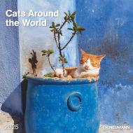 Calendario 2025 Cats Around the World cm 30x30