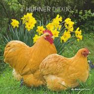 Calendario 2024 Chickens cm 30x30