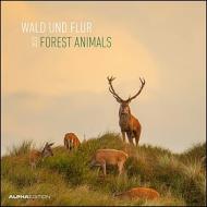 Calendario 2023 Forest Animals 30x30