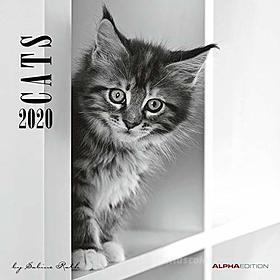 Calendario 2020 Cats by Sabine Rath 30x30 cm