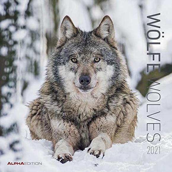 Calendario 2021 Wolves 30x30