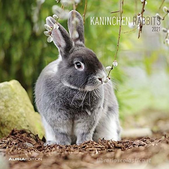 Calendario 2021 Rabbits 30x30