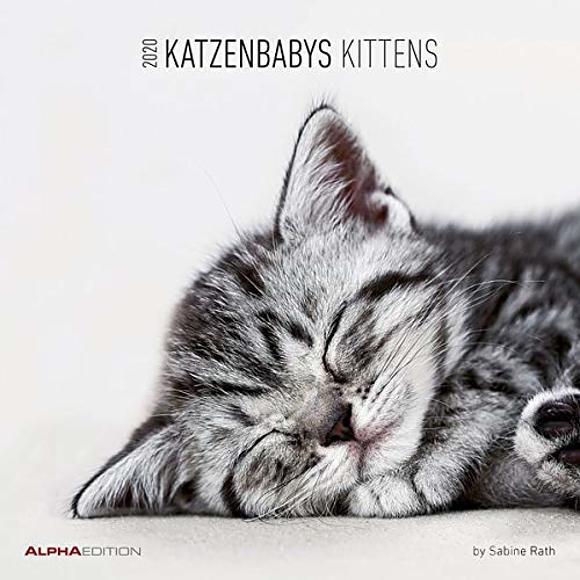 Calendario 2020 Kittens 30x30 cm