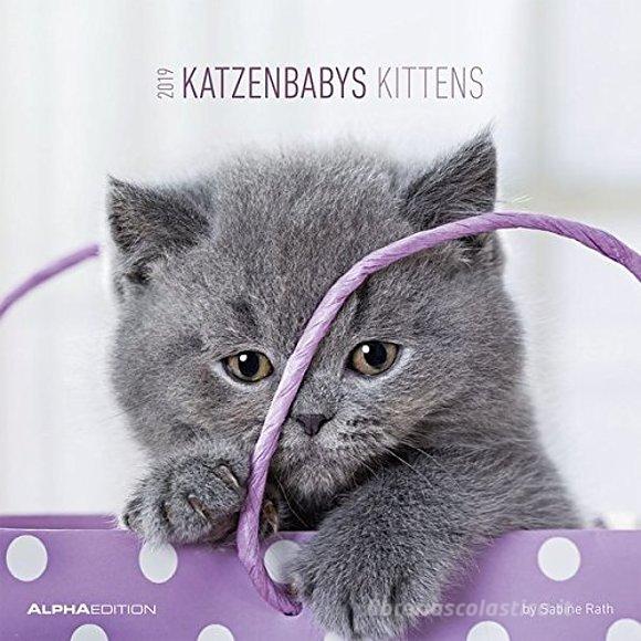 Calendario 2019 Kittens 30x30 cm