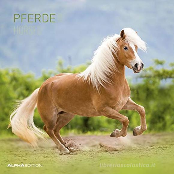 Calendario 2020 Horses 30x30 cm