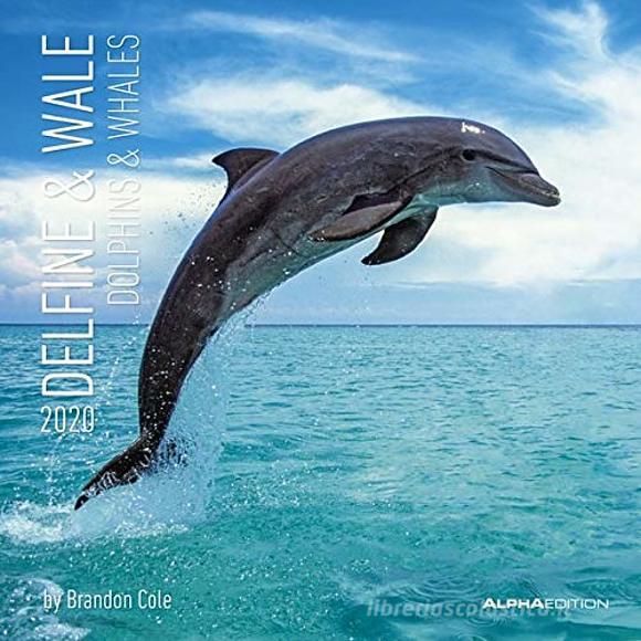 Calendario 2020 Dolphins and Whales 30x30 cm