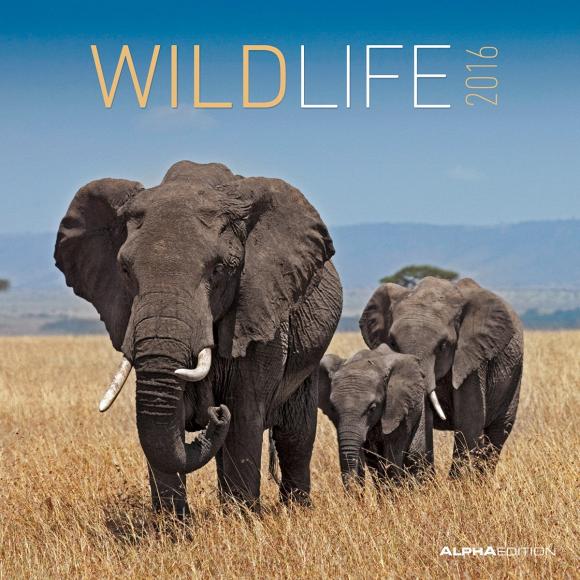 Calendario 2016 Wildlife 