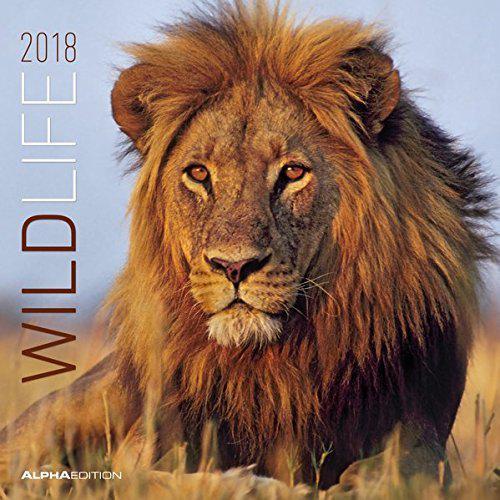 Calendario da muro Animali selvaggi 2018