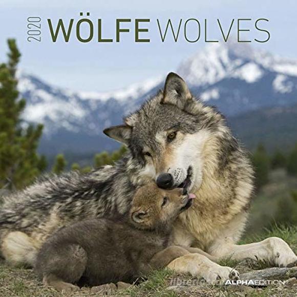Calendario 2020 Wolves 30x30 cm