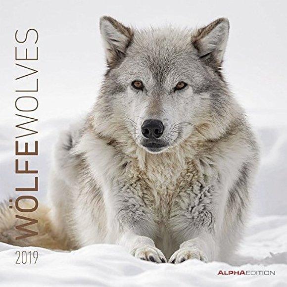 Calendario 2019 Wolves 30x30 cm