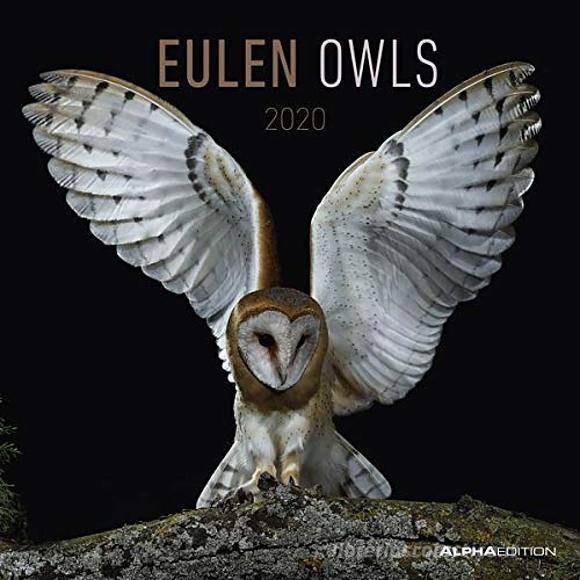 Calendario 2020 Owls 30x30 cm