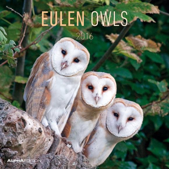 Calendario 2016 Owls 
