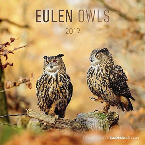 Calendario 2019 Owls 30x30 cm
