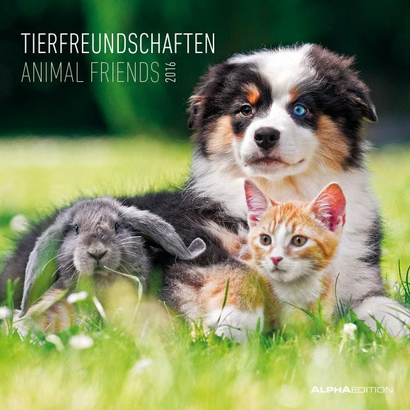 Calendario 2016 Animal Friends 