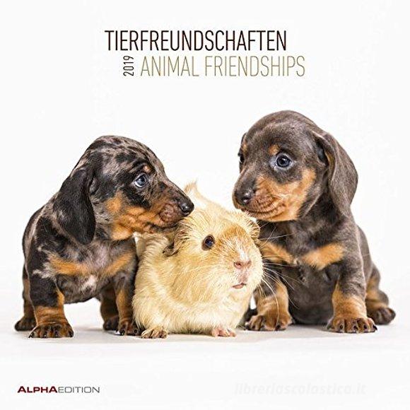 Calendario 2019 Animal Friendship 30x30 cm