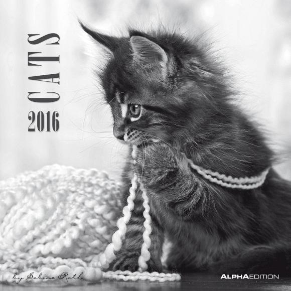 Calendario 2016 Cats By Sabine Rath 