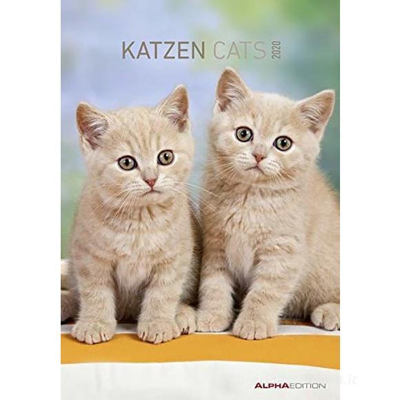 Calendario 2020 Cats 23,7x34 cm