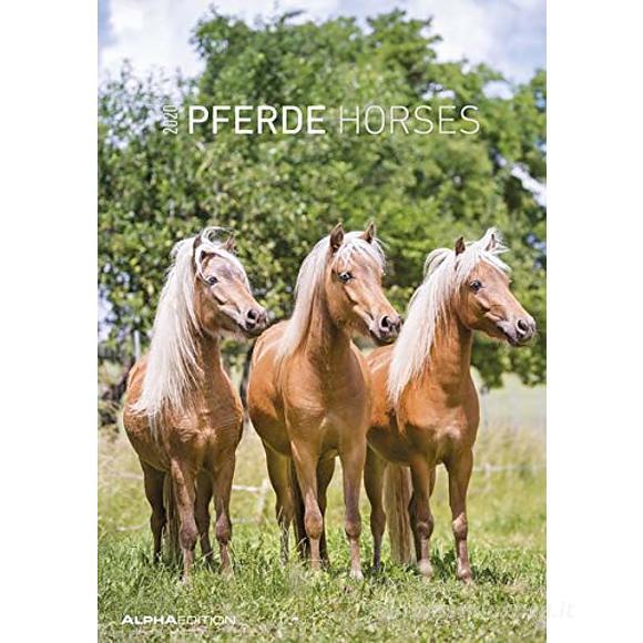 Calendario 2020 Horses 23,7x34 cm